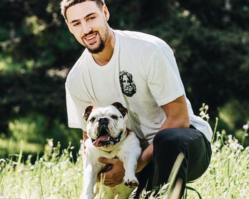 的不是莽撞 的不是莽撞