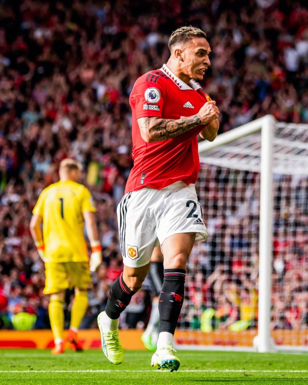 对球迷文化 对球迷文化