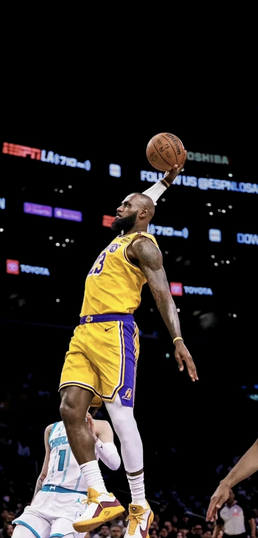 教练组也多 教练组也多